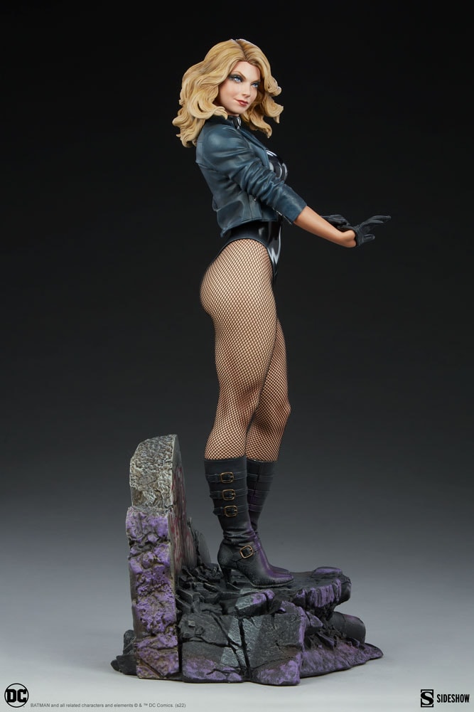 Black Canary View 18