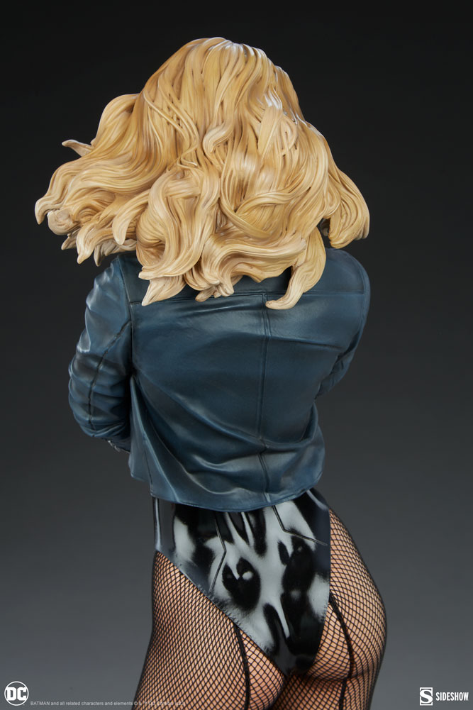 Black Canary View 13