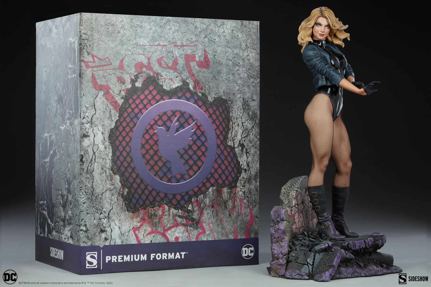 Black Canary View 5