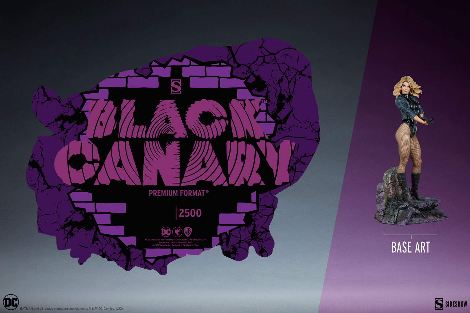 Black Canary View 4
