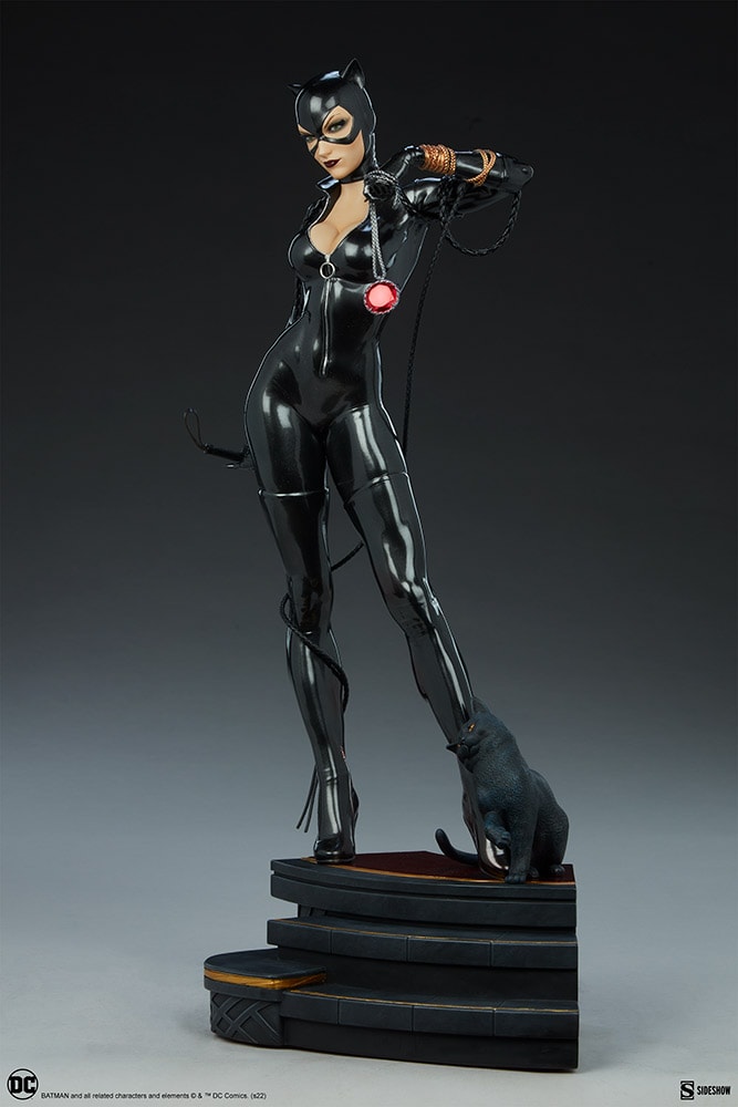 Catwoman Exclusive Edition View 28