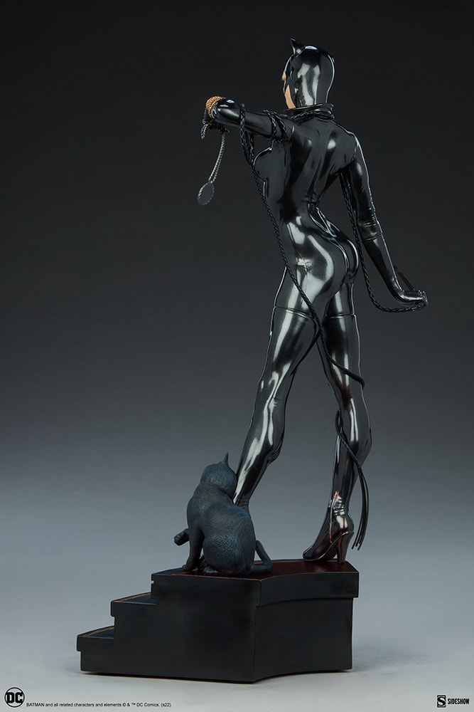 Catwoman Collector Edition View 23