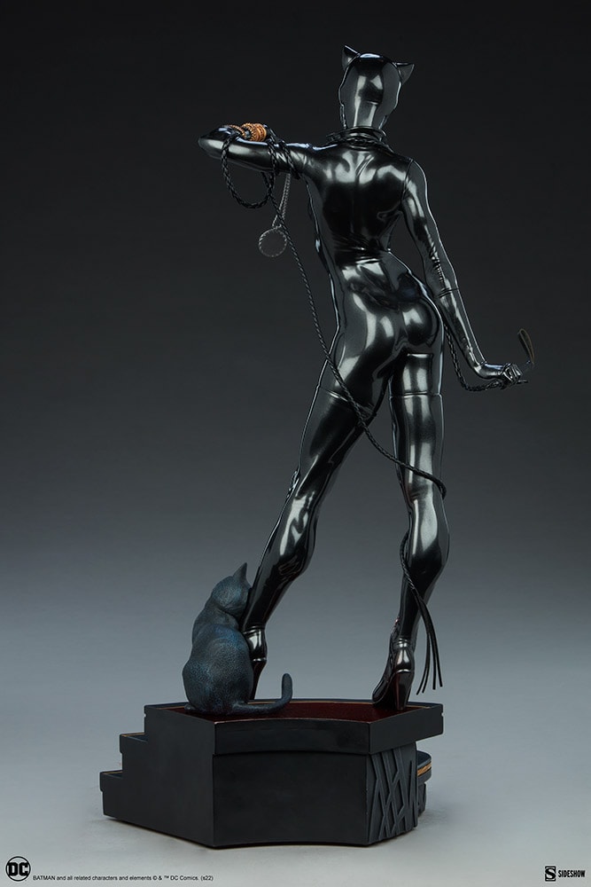 Catwoman Collector Edition View 22