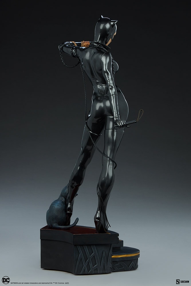 Catwoman Collector Edition View 21