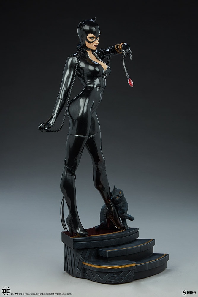 Catwoman Collector Edition View 20