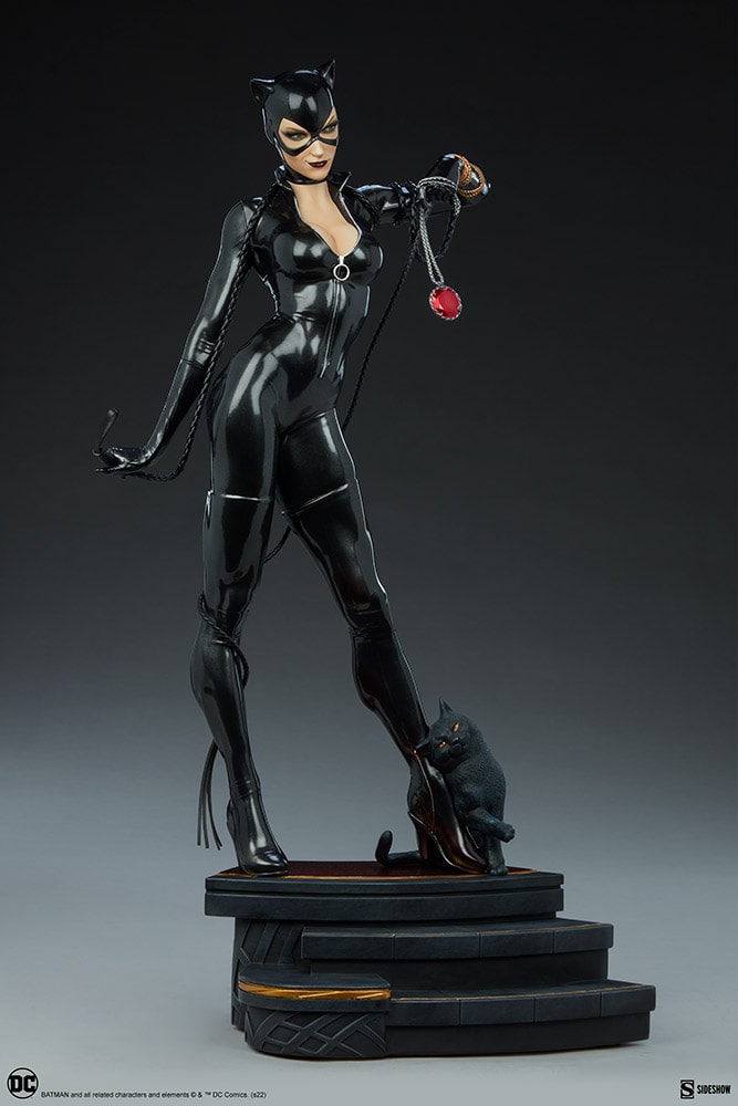 Catwoman Collector Edition View 19
