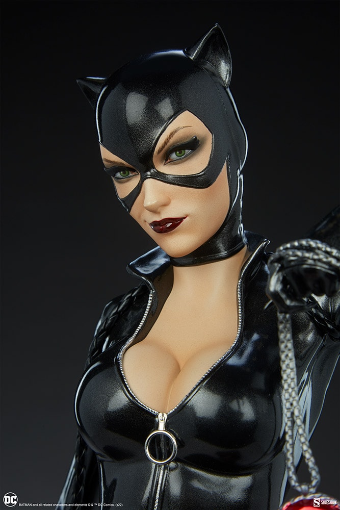 Catwoman Collector Edition View 17