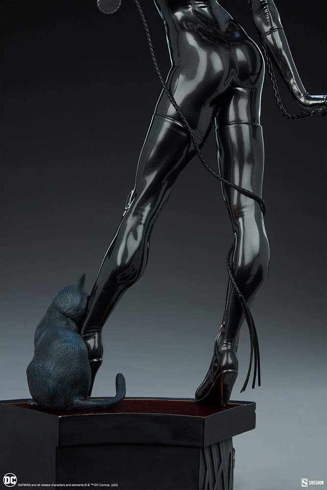 Catwoman Collector Edition View 11
