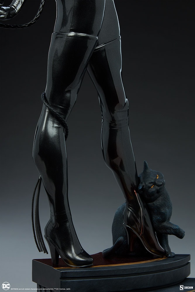 Catwoman Collector Edition View 10