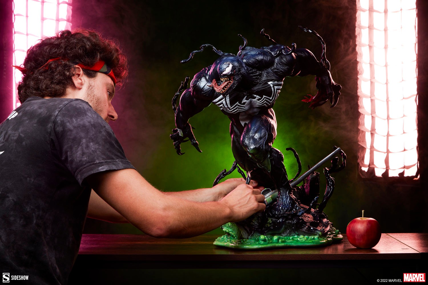 Venom View 29