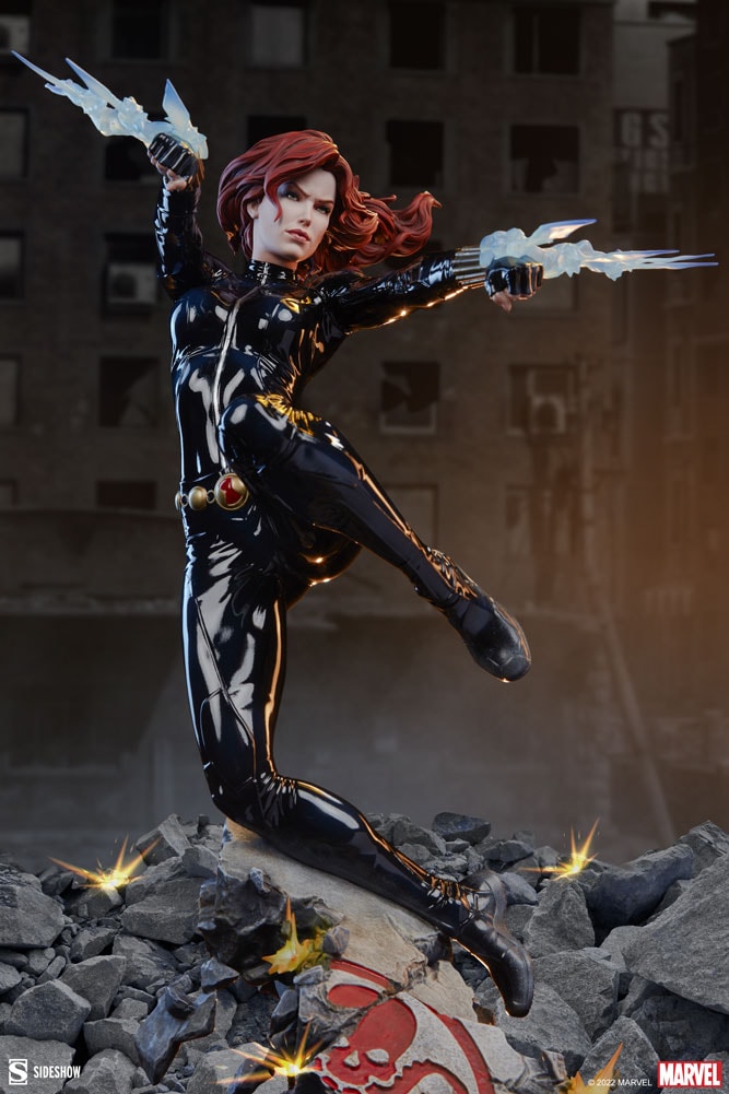 Black Widow View 19