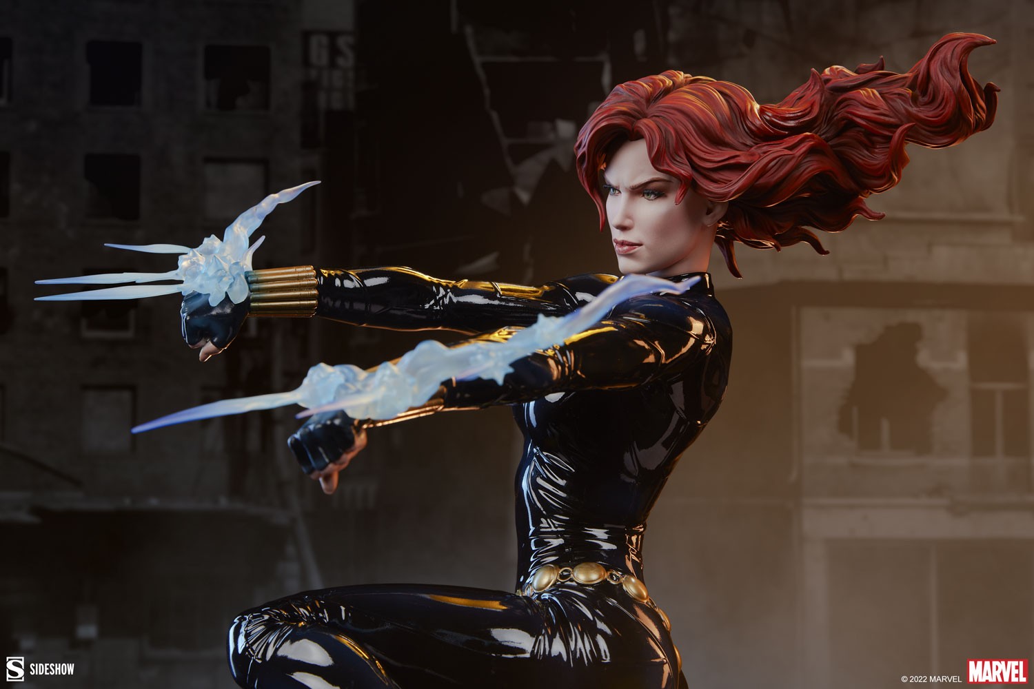 Black Widow View 21