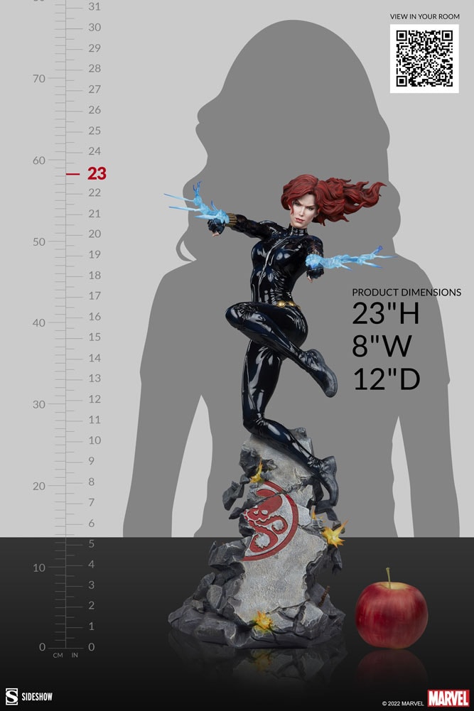 Black Widow View 23
