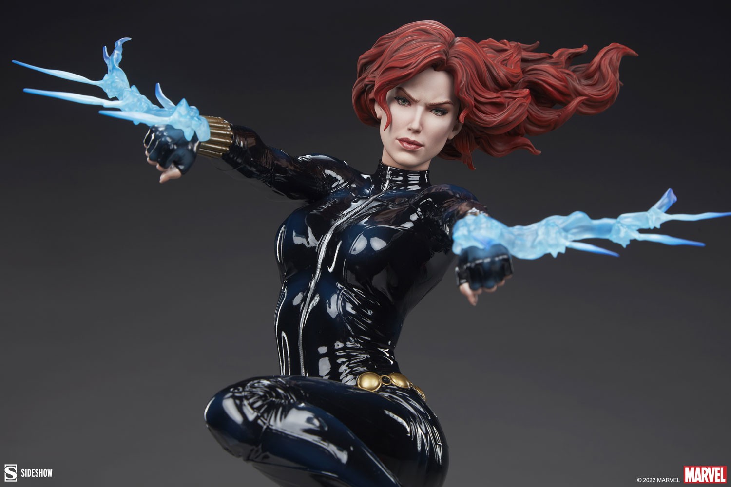 Black Widow View 29