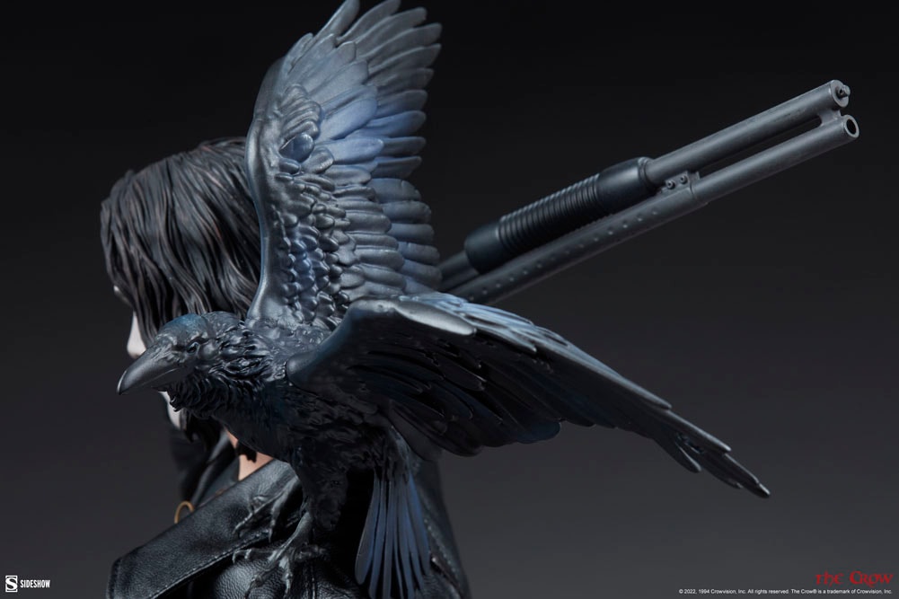 The Crow View 10
