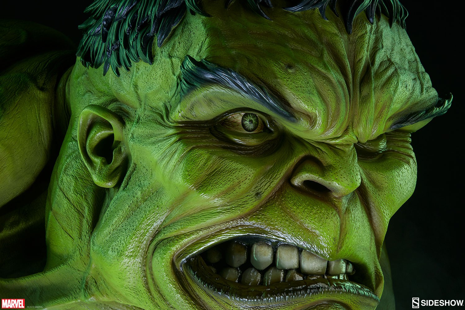 The Incredible Hulk View 3
