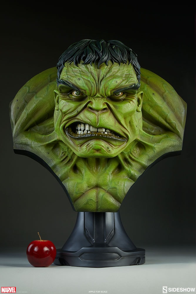 The Incredible Hulk View 5