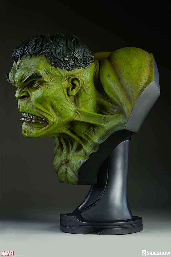 The Incredible Hulk View 7
