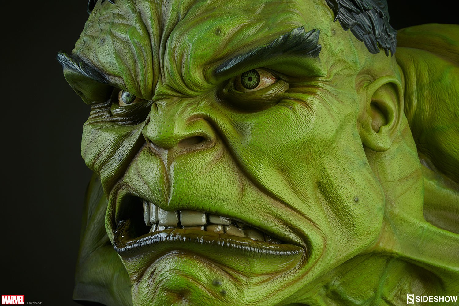 The Incredible Hulk View 12