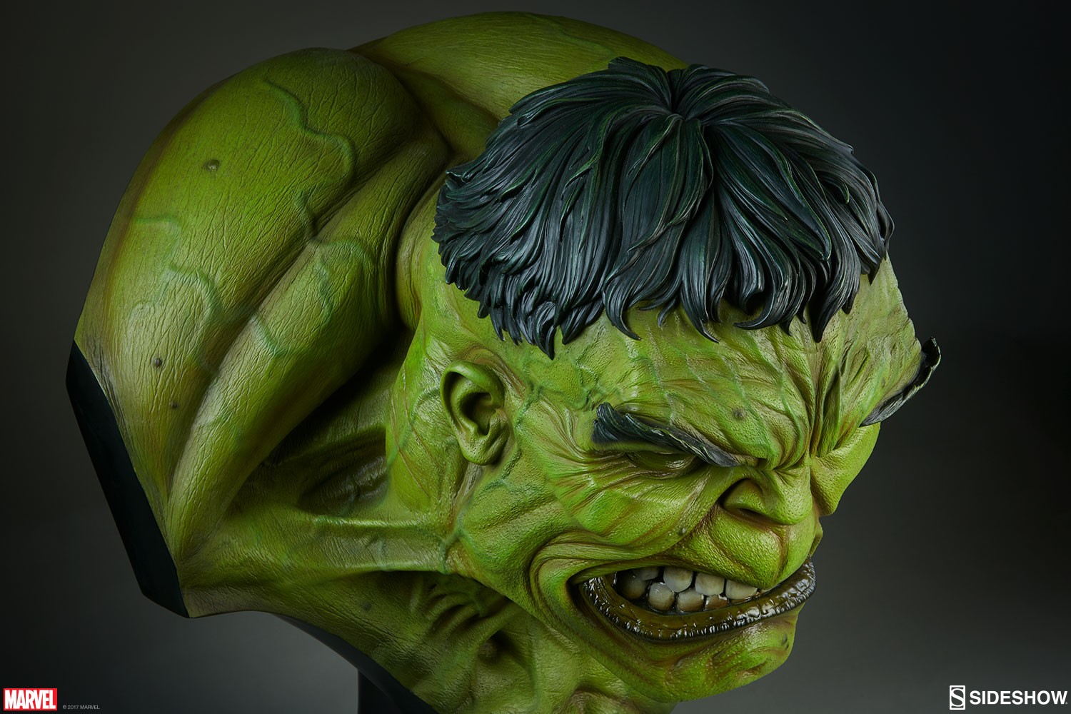 The Incredible Hulk View 14