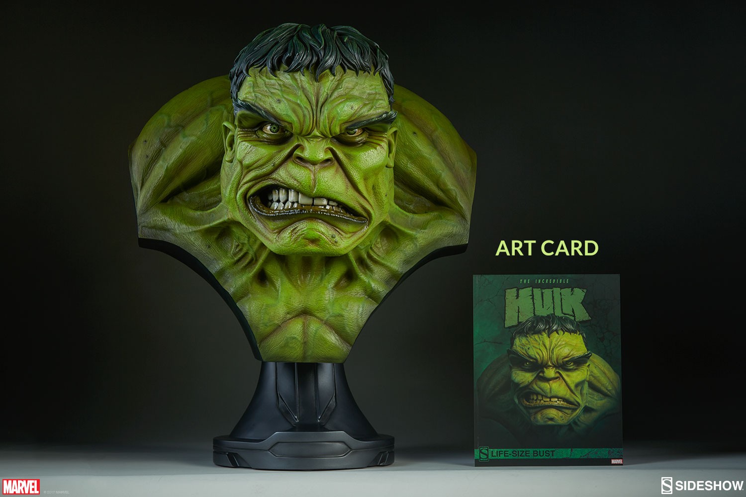The Incredible Hulk View 15