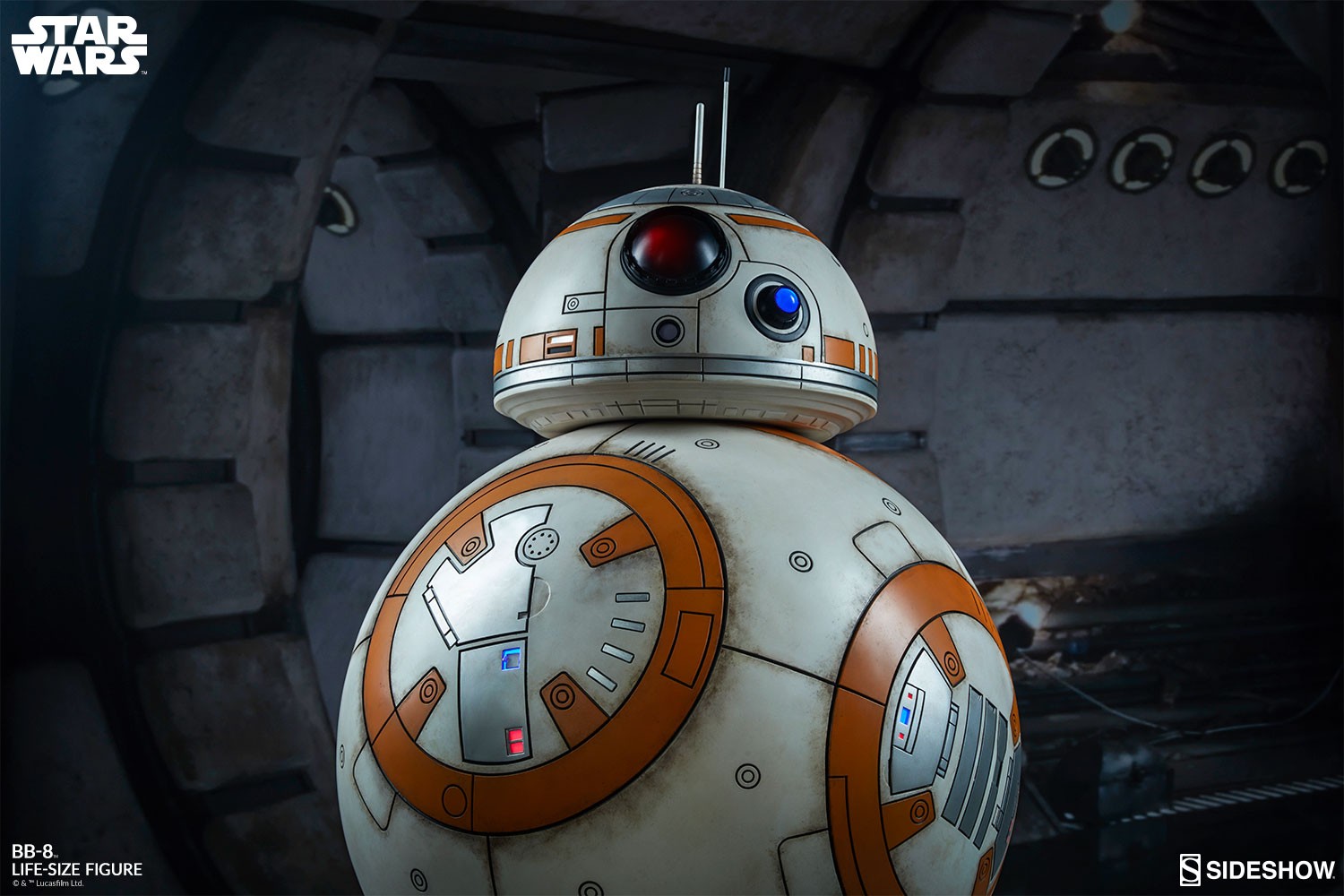 BB-8 View 1