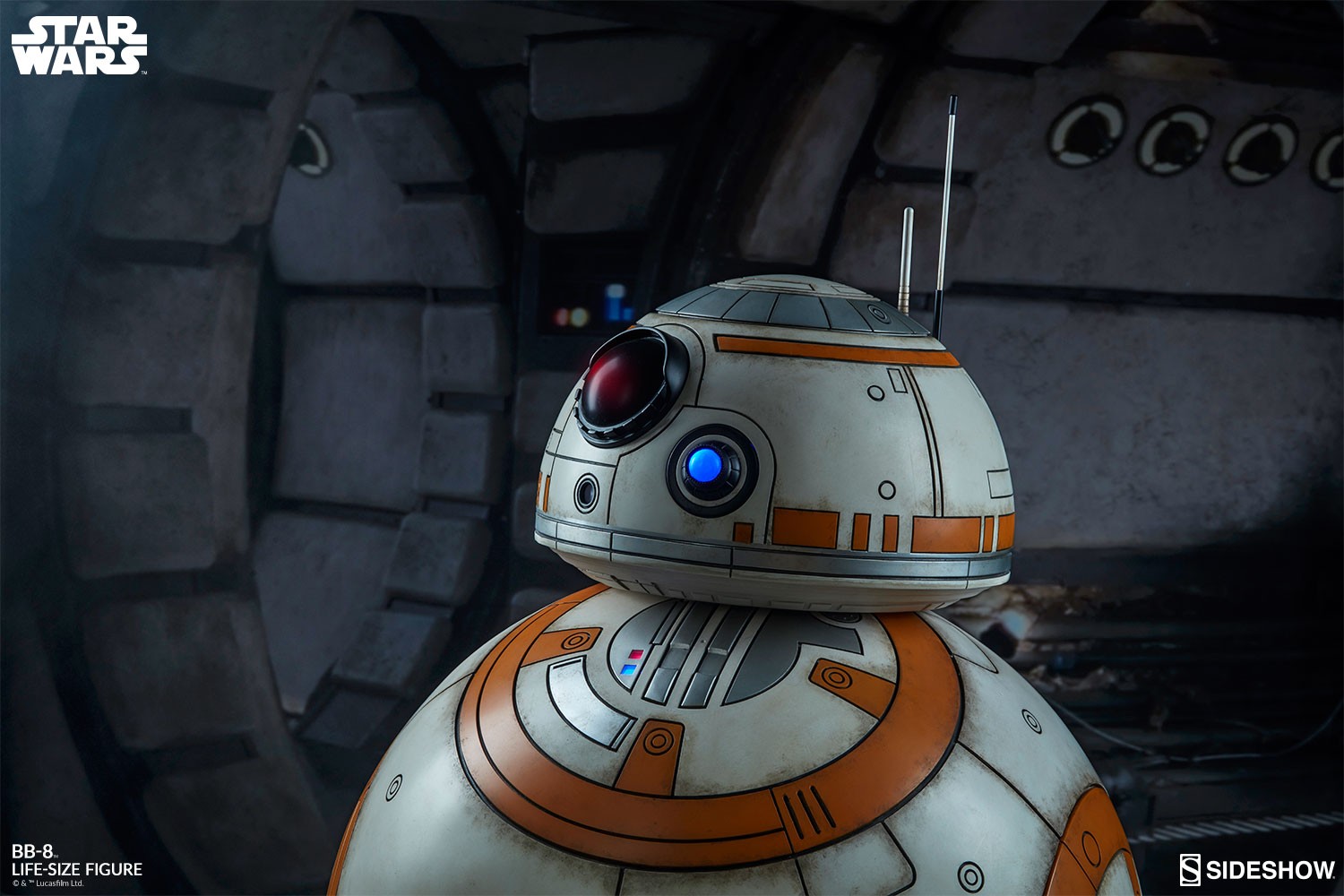 BB-8 View 13