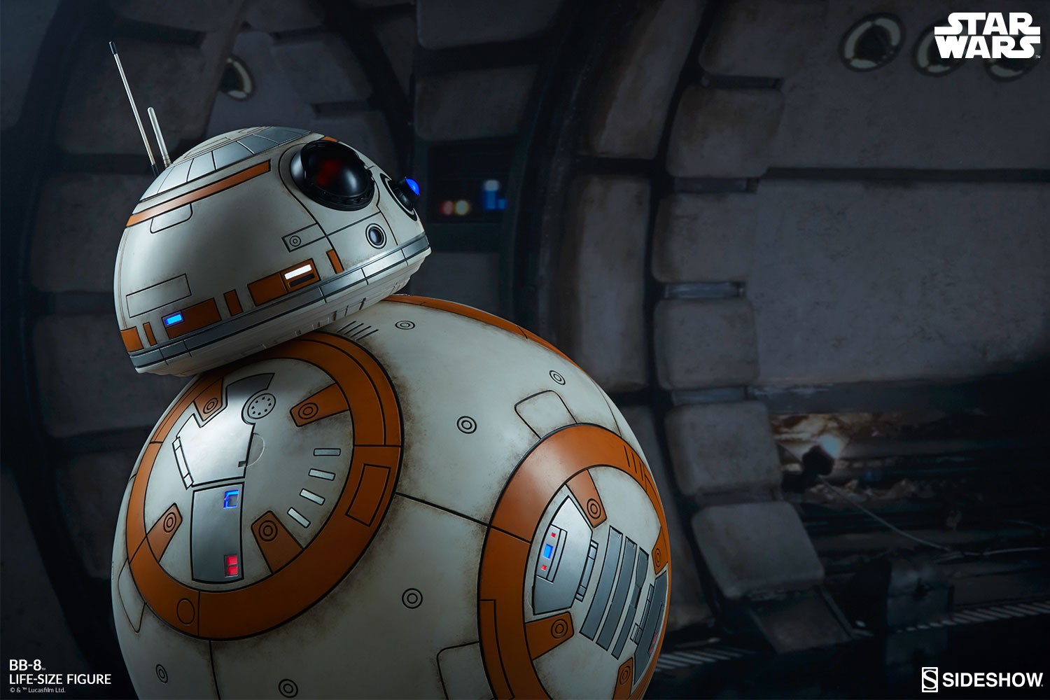 BB-8 View 22