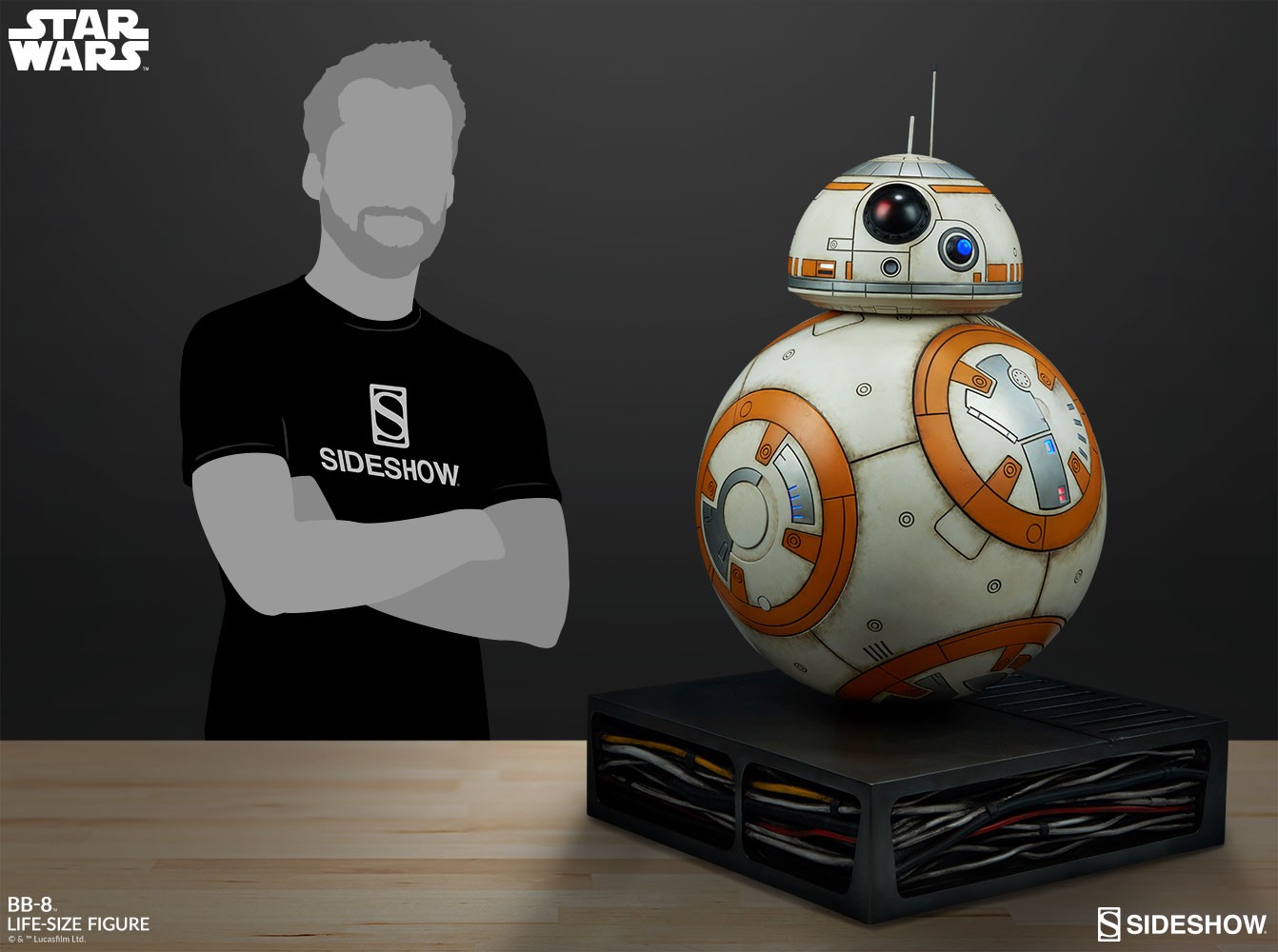 BB-8 View 21