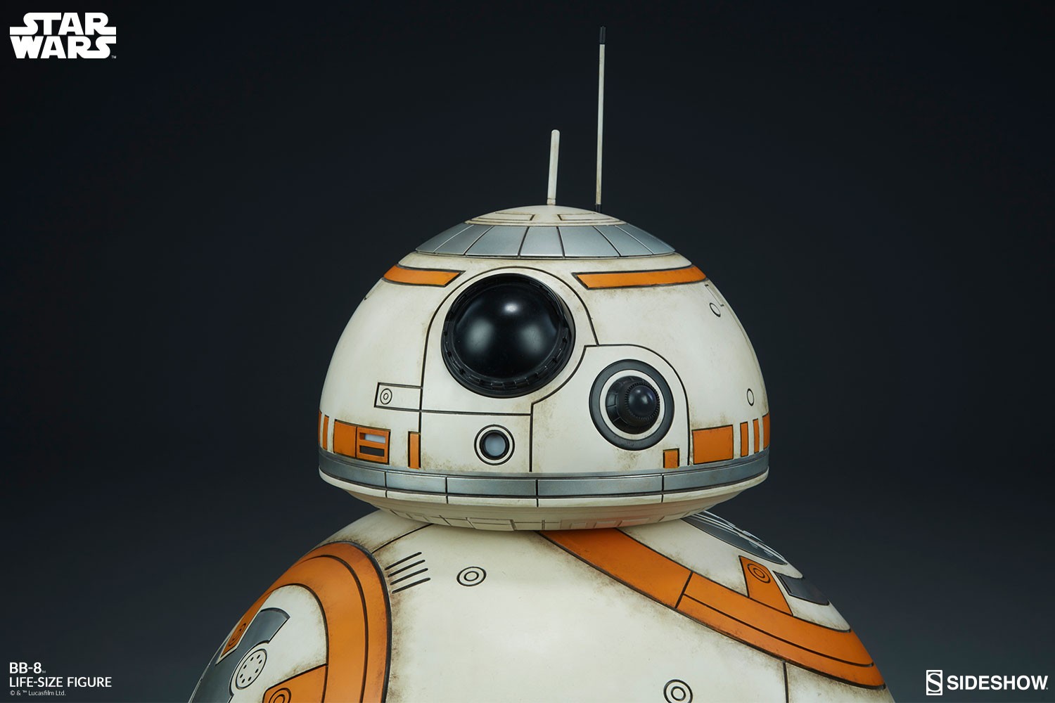 BB-8 View 10