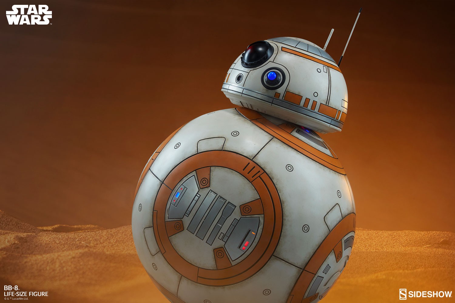 BB-8 View 23