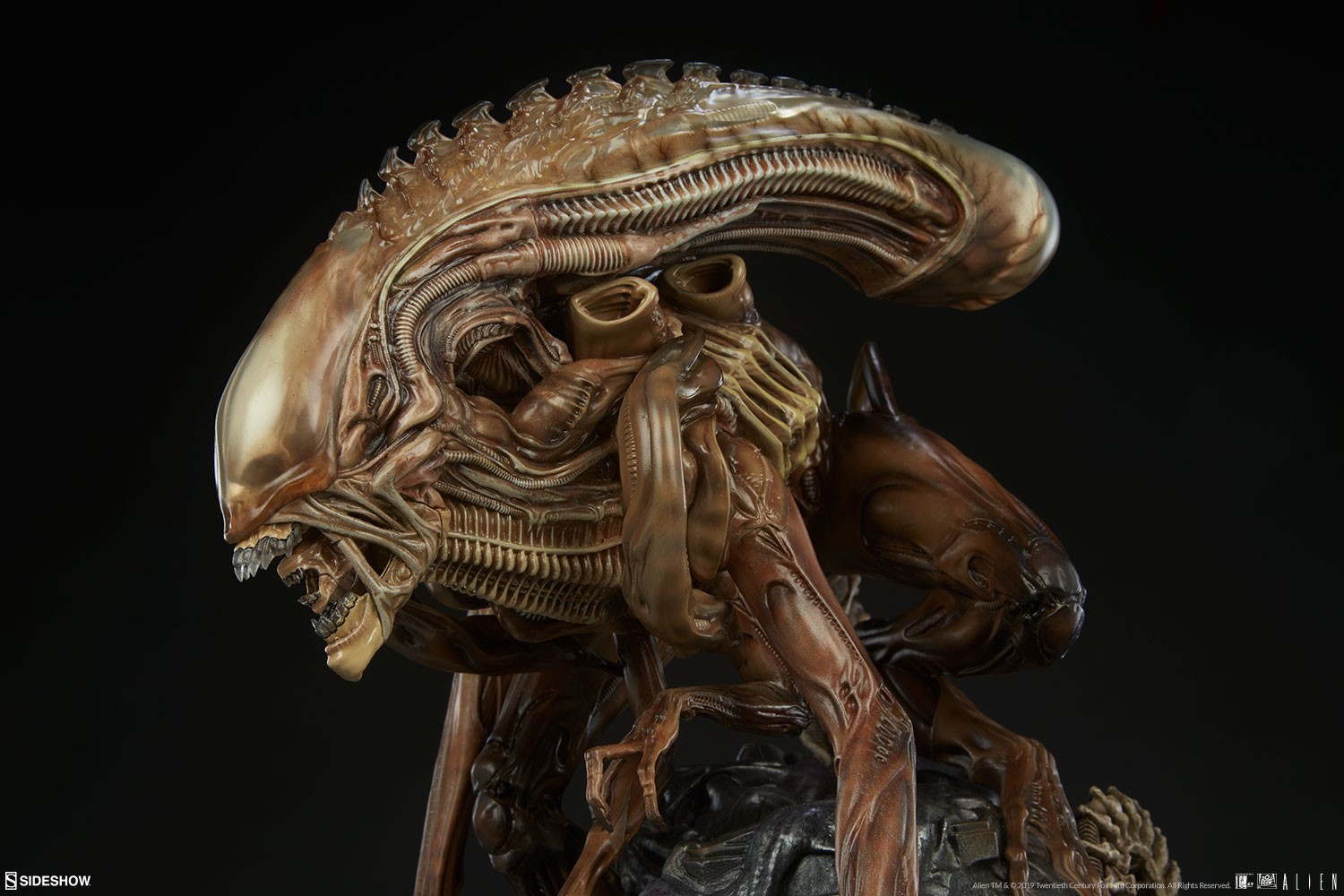 Alien Warrior - Mythos Collector Edition View 14