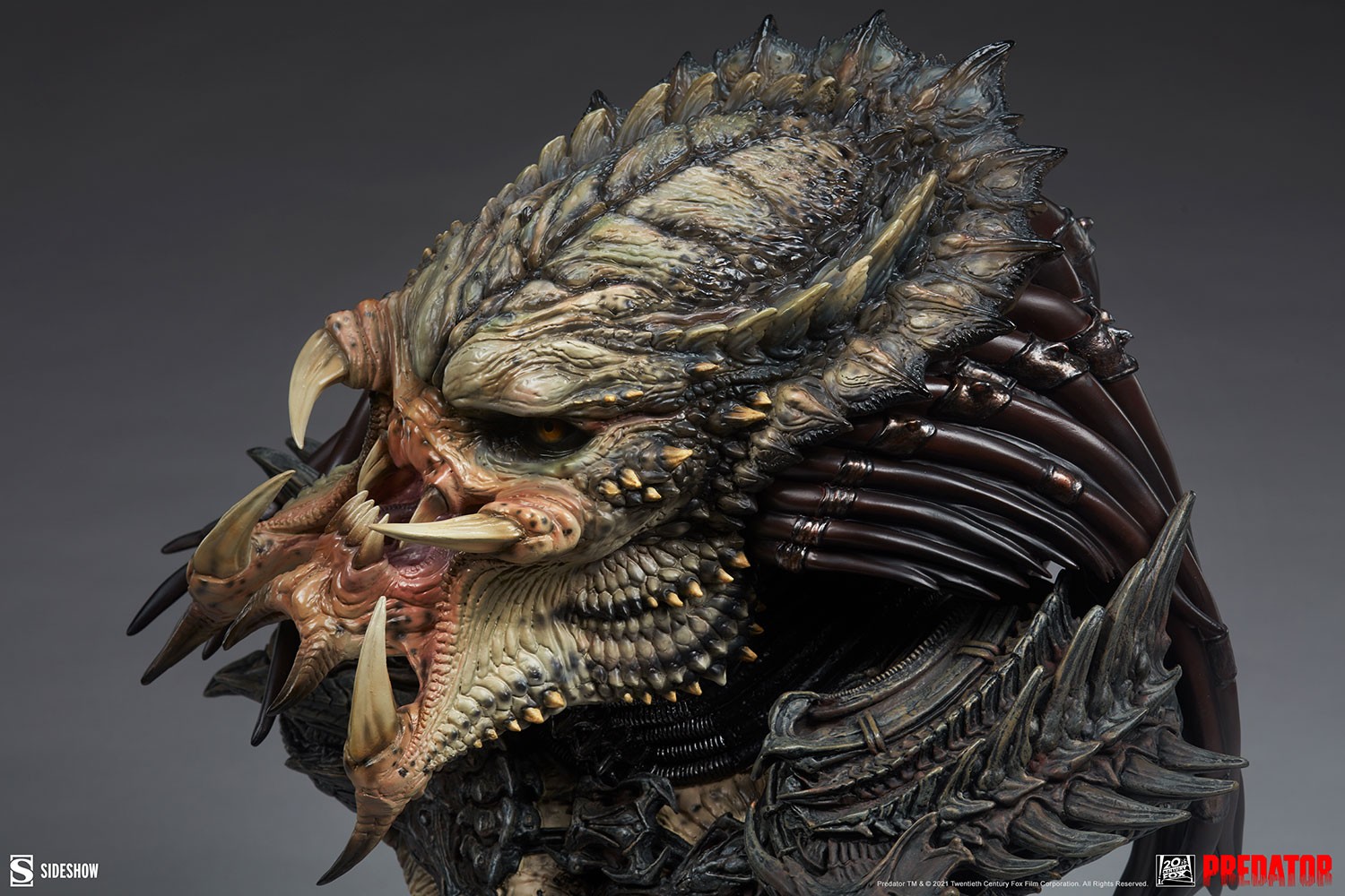 Predator Barbarian Mythos View 9