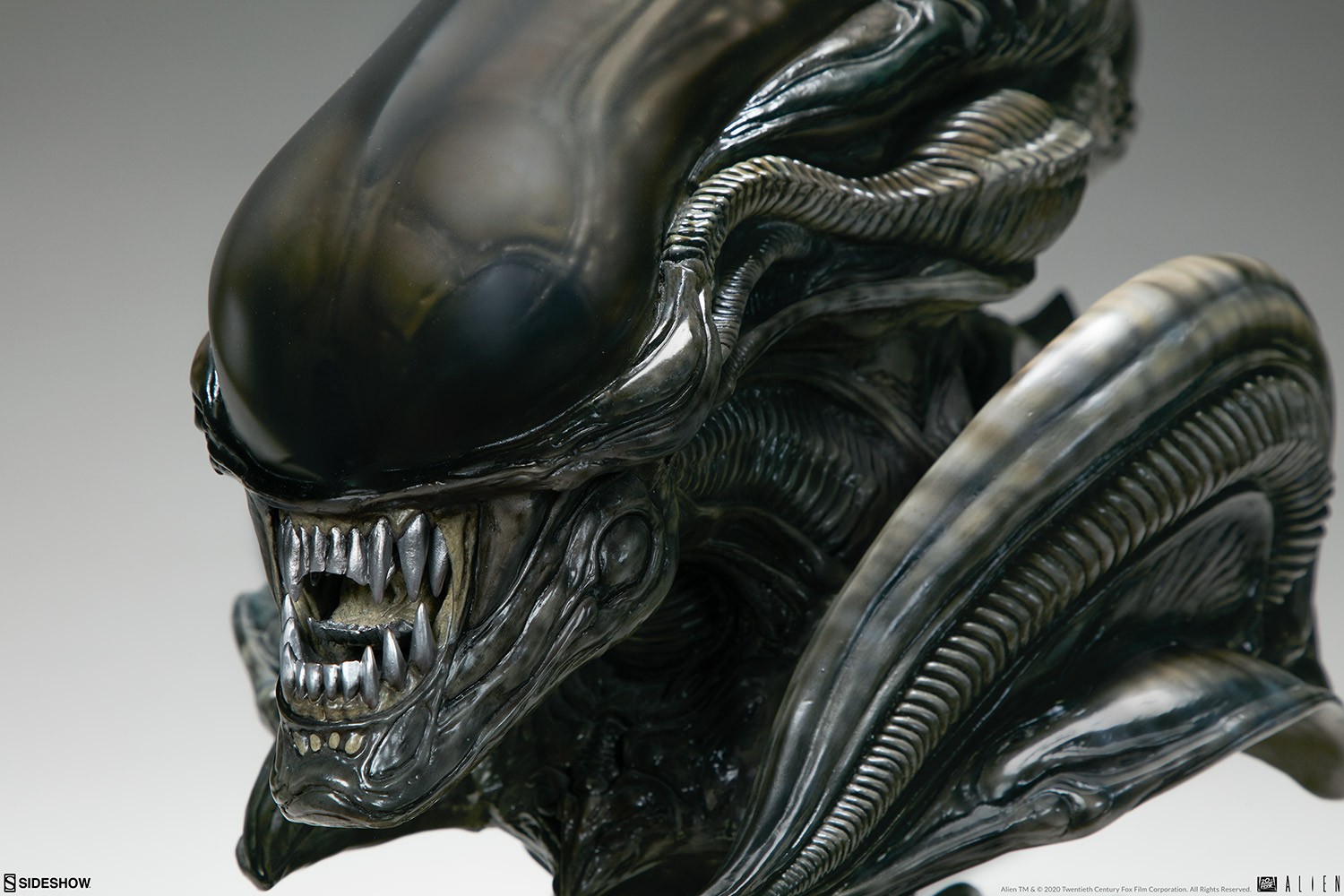 SF・ファンタジー・ホラー Alien Xenomorph bust Alien Xenomorph Bust