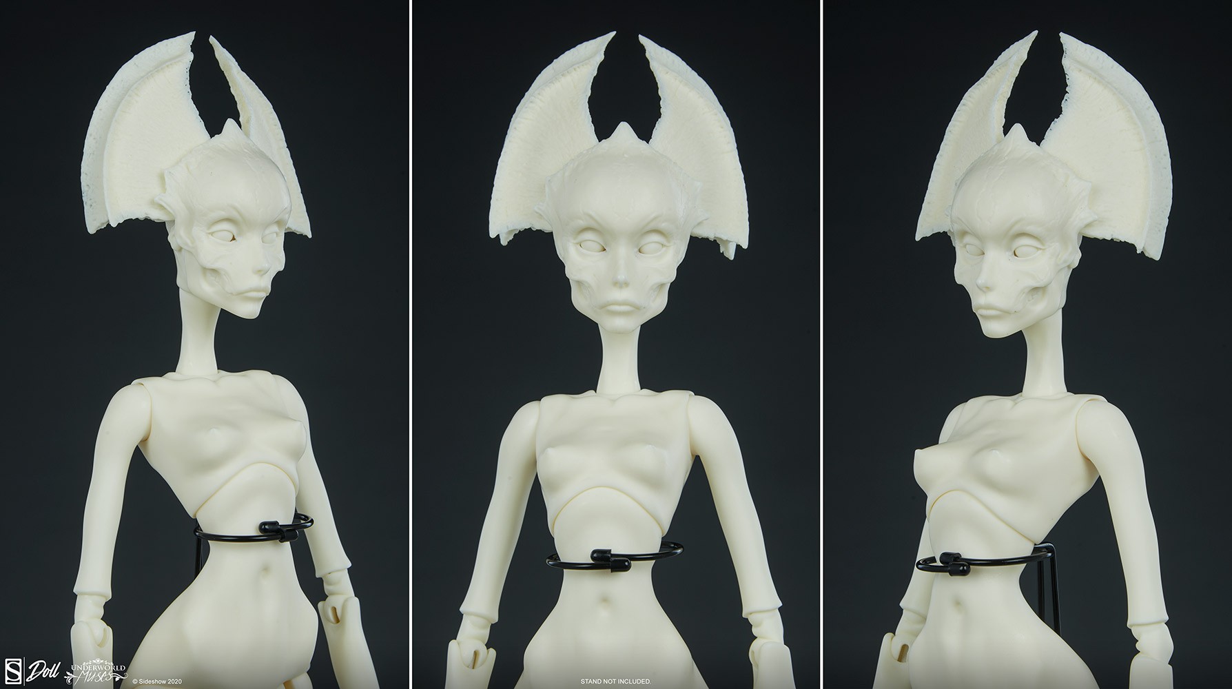 Muse of Bone: Spector Blank View 14