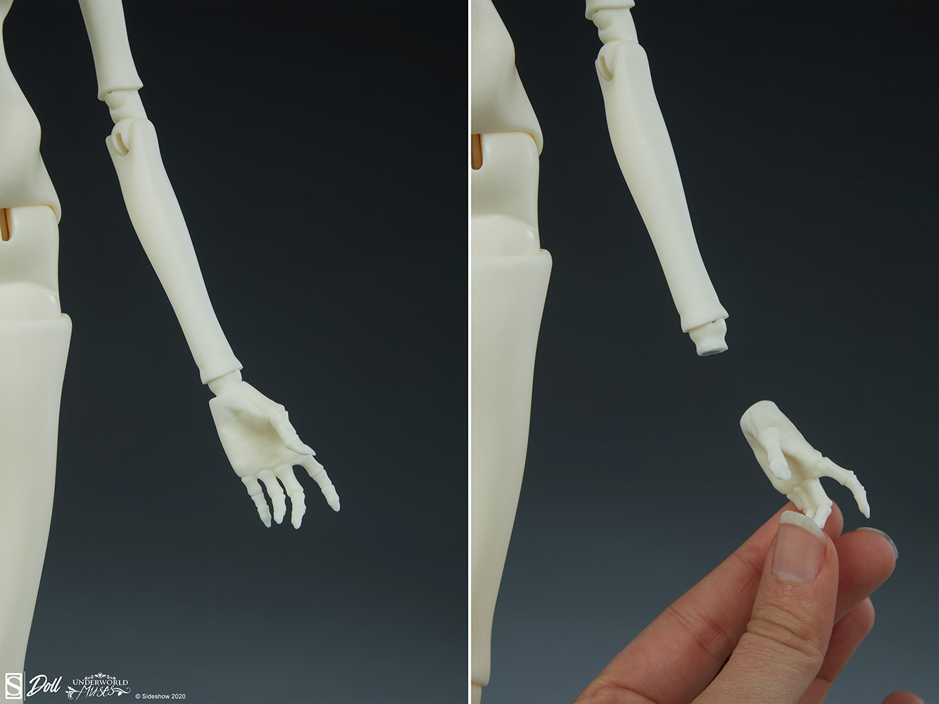 Muse of Bone: Spector Blank View 11