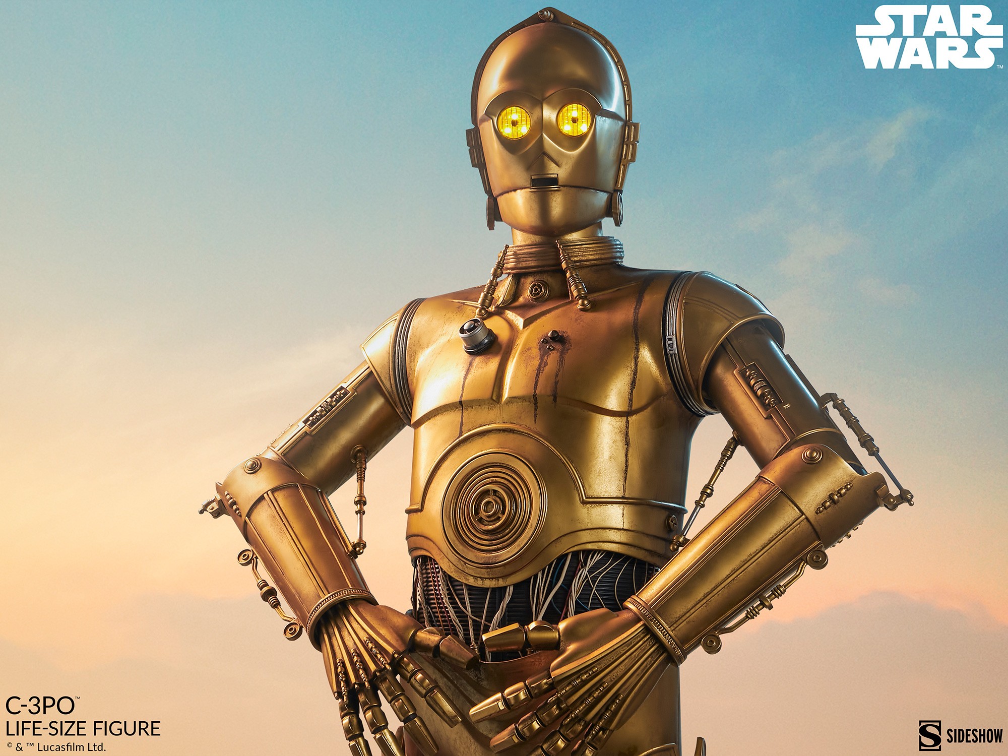 gevolg geestelijke gezondheid Harde ring C-3PO Life-Size Figure by Sideshow Collectibles | Sideshow Collectibles