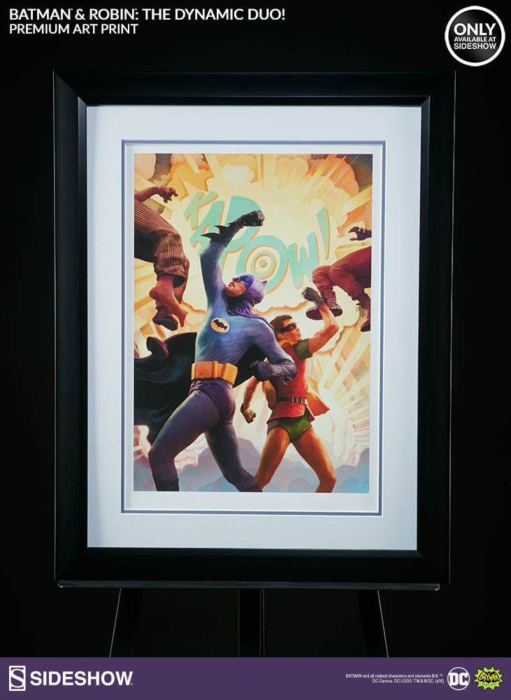 Batman Robin The Dynamic Duo Exclusive Edition 