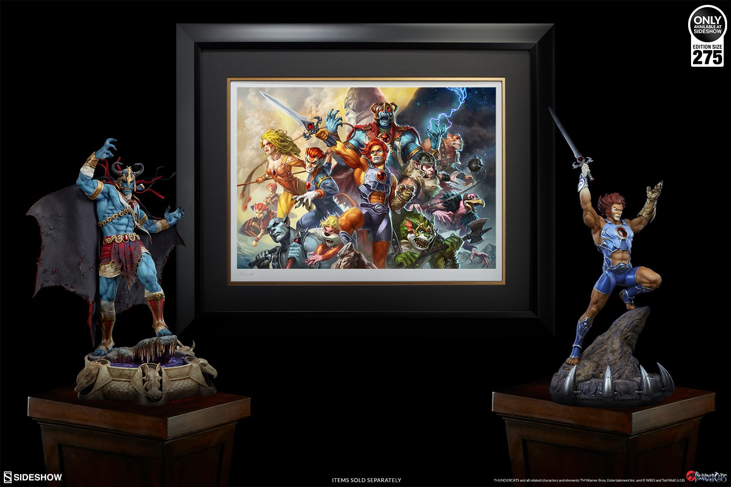 ThunderCats Exclusive Edition View 8