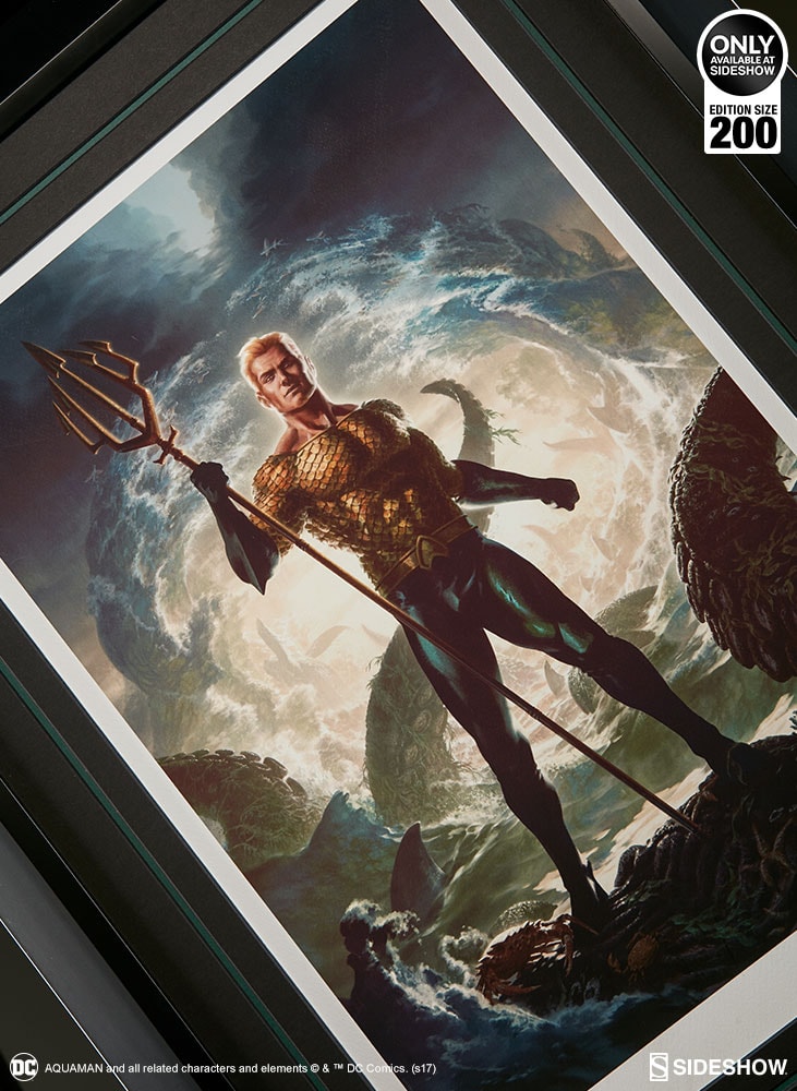 DC Comics Aquaman Art Print  Exclusive Edition View 7