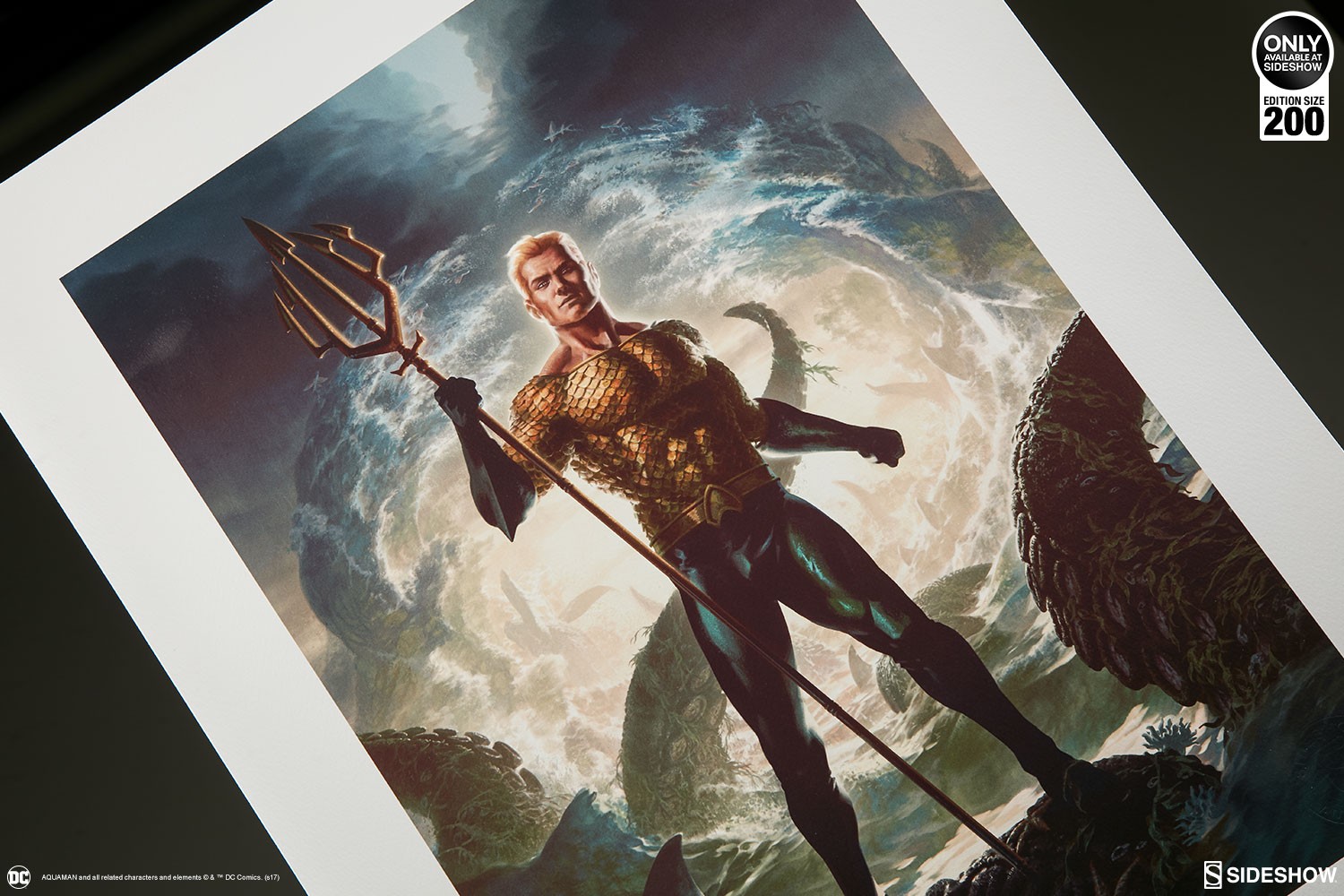 DC Comics Aquaman Art Print  Exclusive Edition View 8