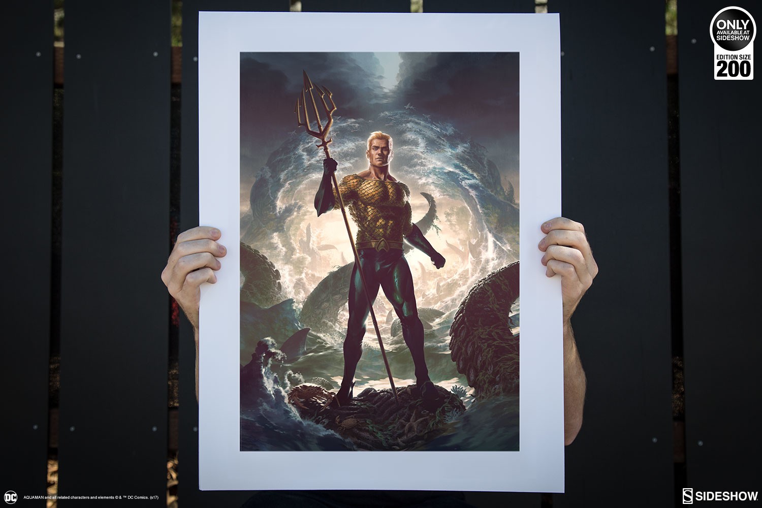 DC Comics Aquaman Art Print  Exclusive Edition View 10