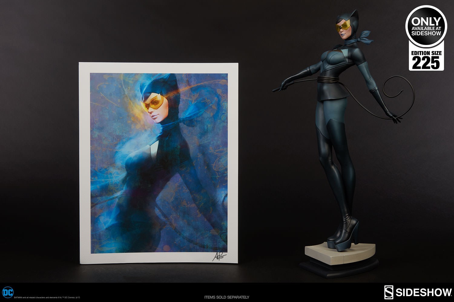 DC Comics Gotham Sirens Artist Series Portfolio Art Print  Exclusive Edition View 11