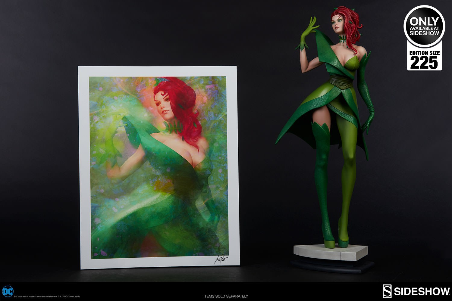 DC Comics Gotham Sirens Artist Series Portfolio Art Print  Exclusive Edition View 13