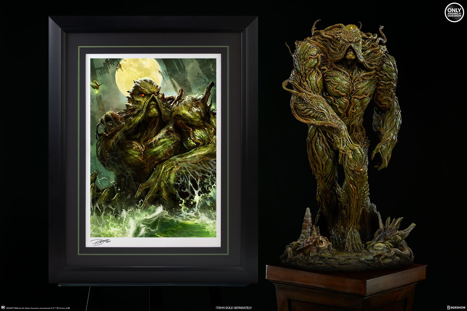 DC Comics Swamp Thing Art Print  Exclusive Edition View 9