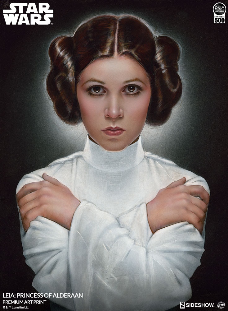 Sideshow princess leia store
