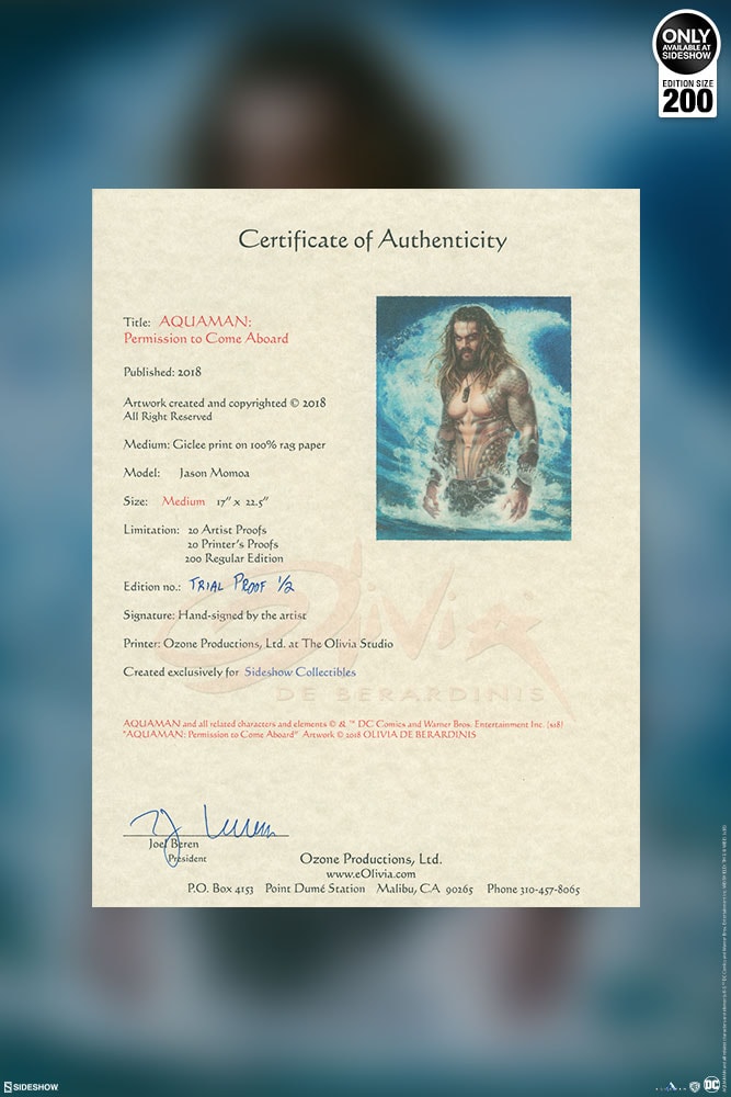 Aquaman Permission to Come Aboard Exclusive Edition View 13