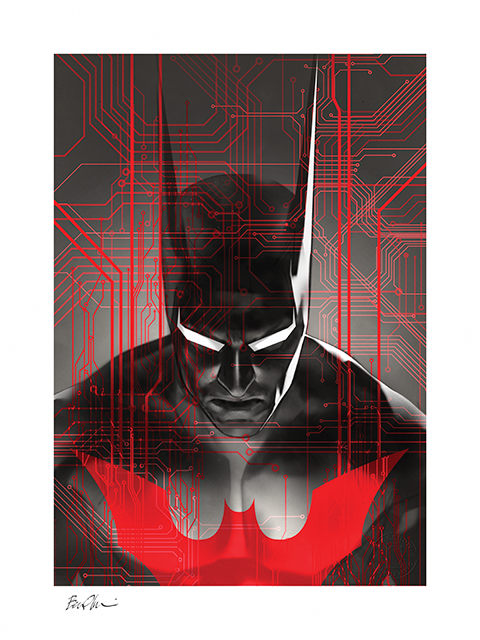 Batman Beyond Exclusive Edition View 8