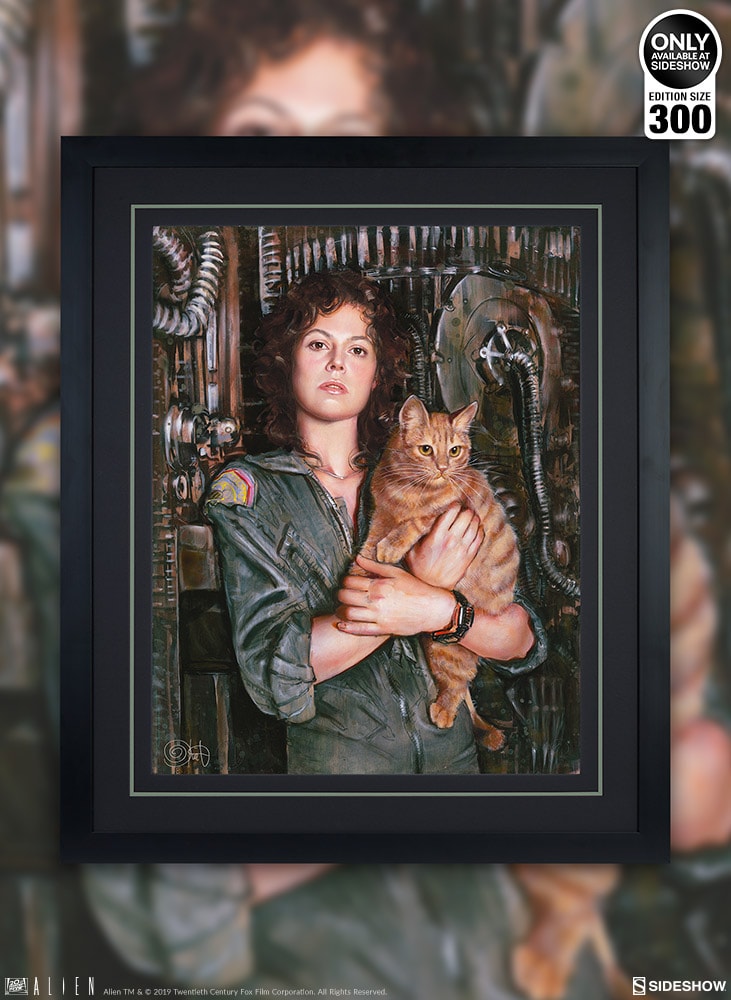 Ripley View 2