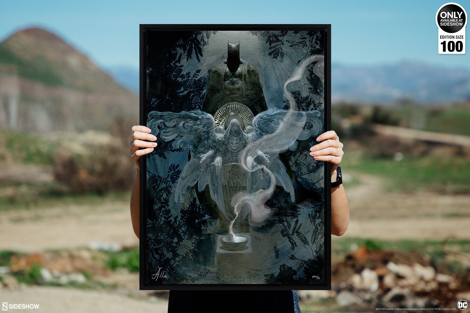 The Birth of Batman Exclusive Edition View 7